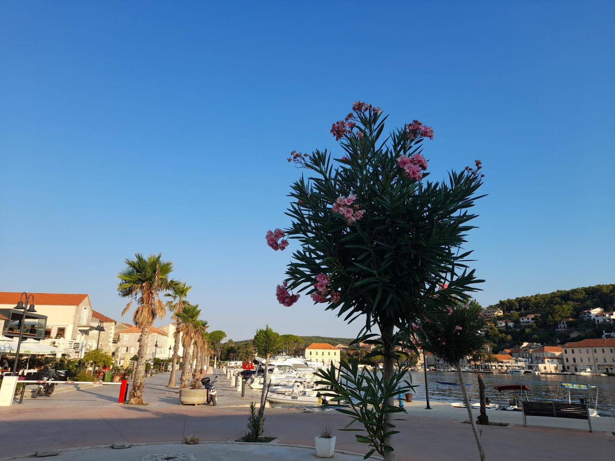 Hvar Architect'S House Pitve 외부 사진