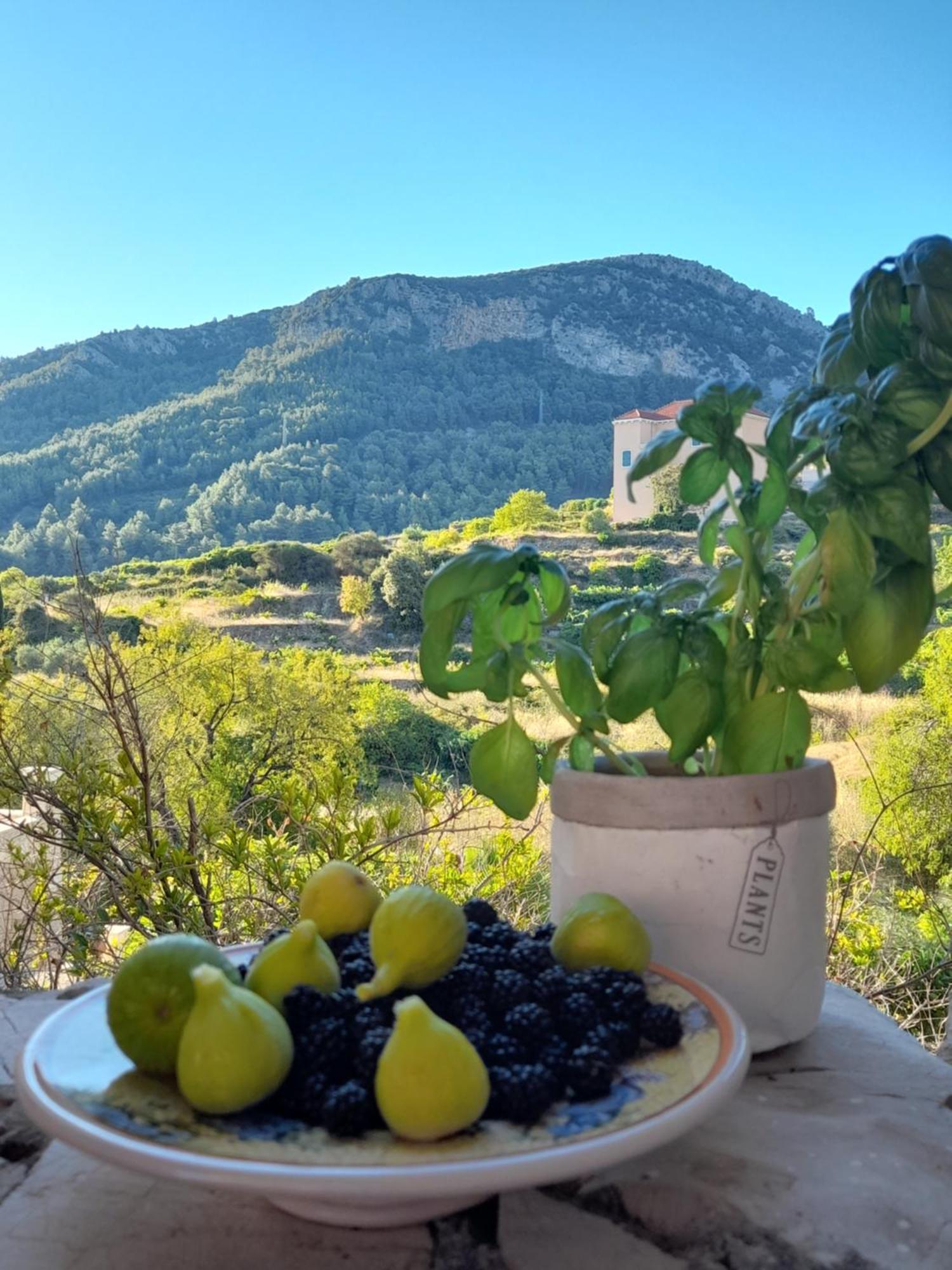 Hvar Architect'S House Pitve 외부 사진